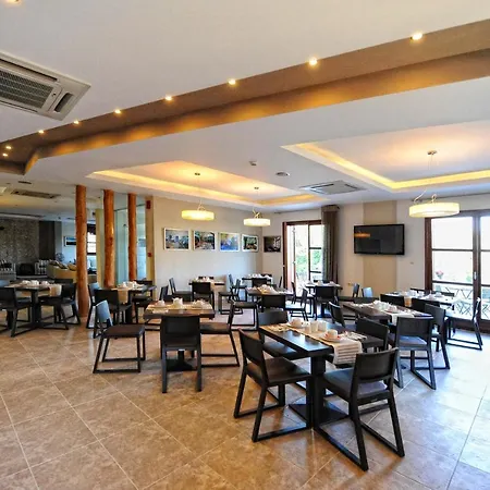 Hotel Pilion Terra 3*