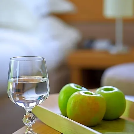 Pilion Terra Hotel Portariá