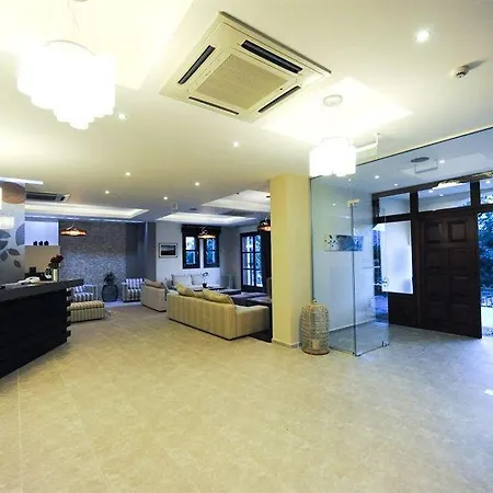 Pilion Terra Portariá