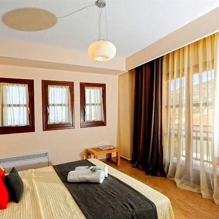 Pilion Terra 3*