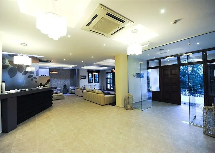 Pilion Terra Portariá